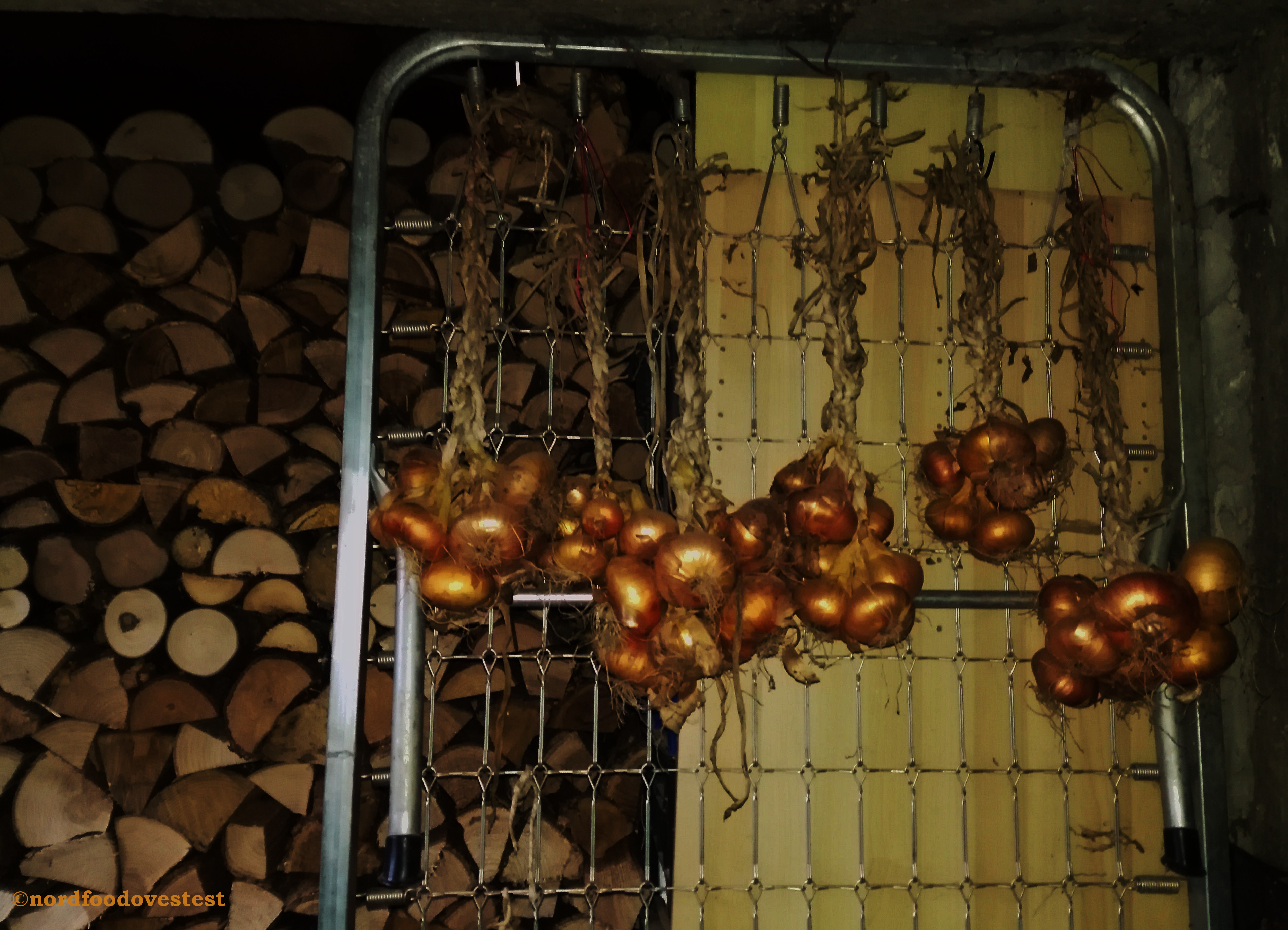 Damigiane, trecce d’aglio e tronchi accatastati…