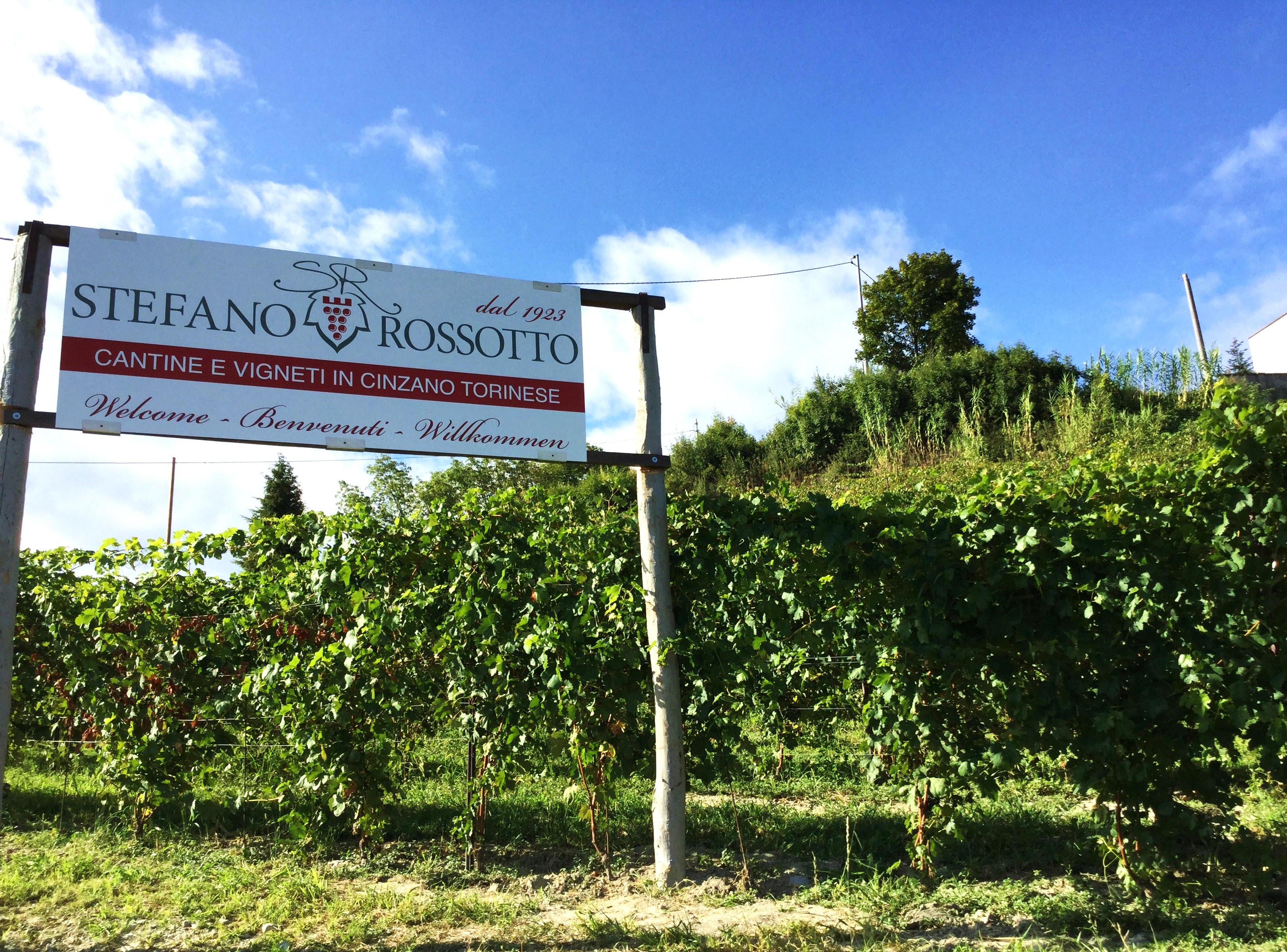 MAESTRI DEL GUSTO ed eccellenze: l’Azienda vitivinicola ROSSOTTO