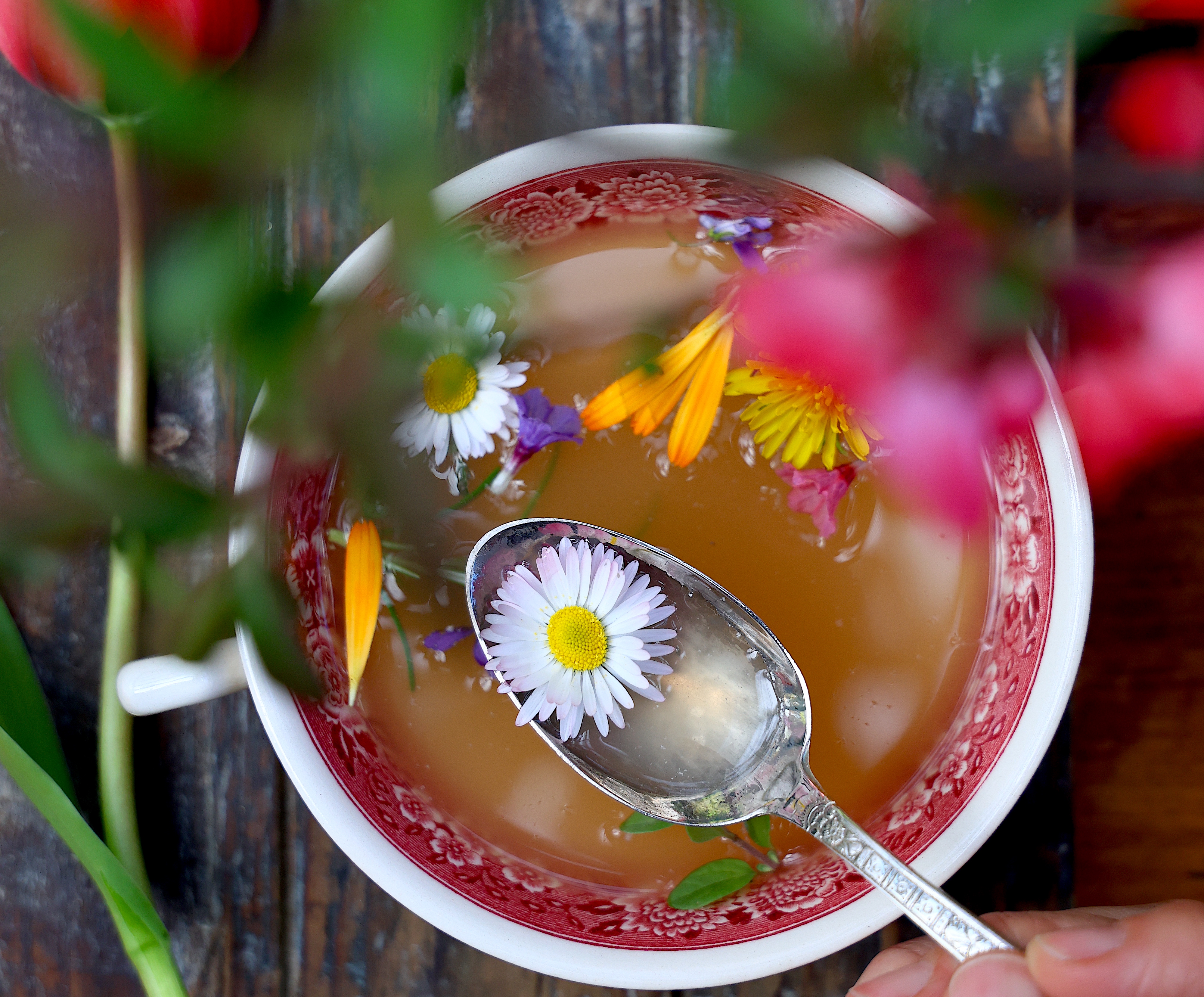 BRODOS FAMILY: dal Piemonte il primo bone broth italiano