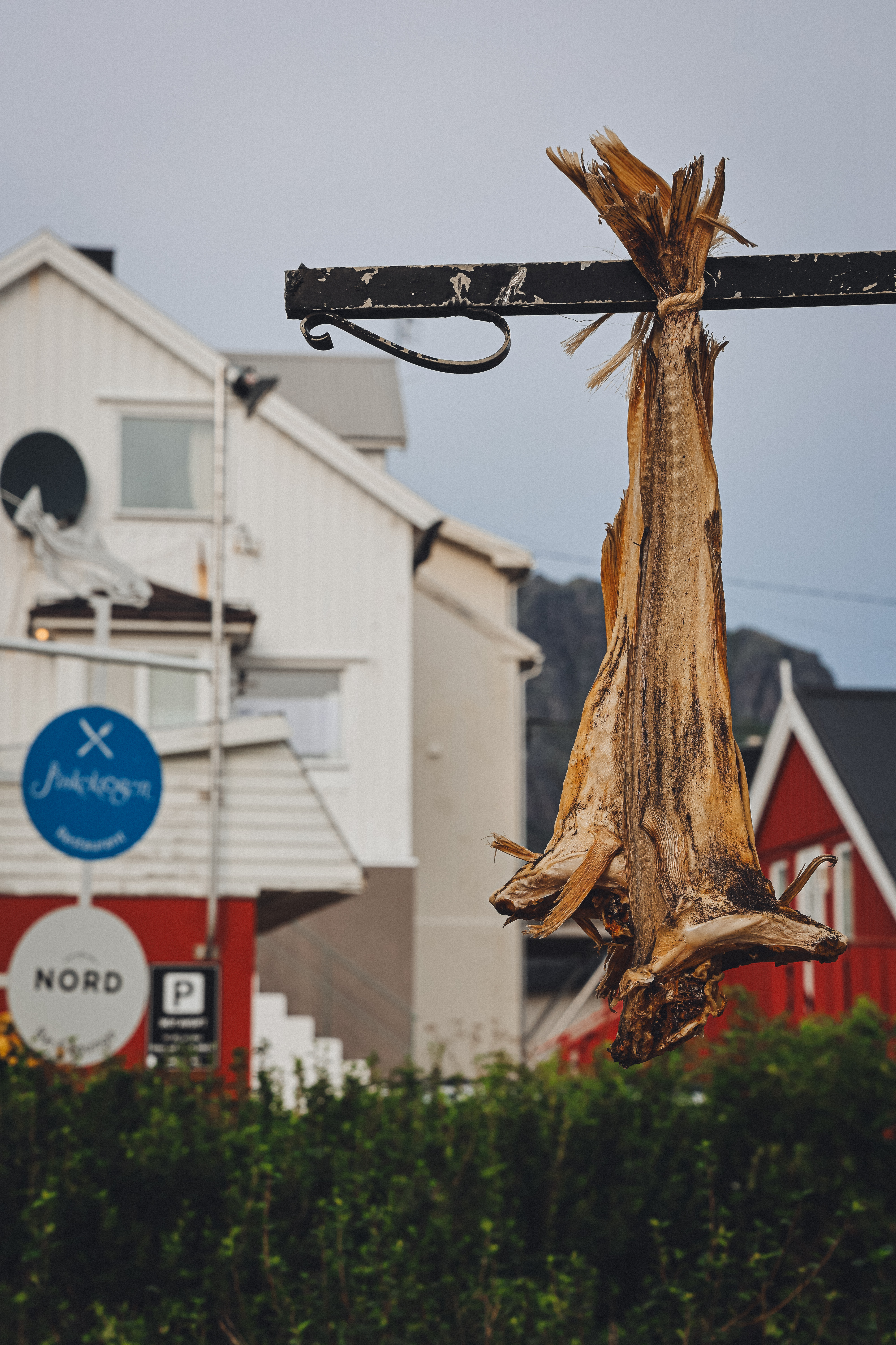 La FESTA DEL BACALÀ ALLA VICENTINA a settembre 26 a Sandrigo